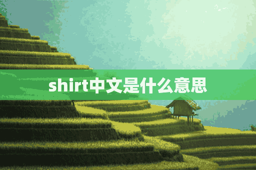 shirt中文是什么意思